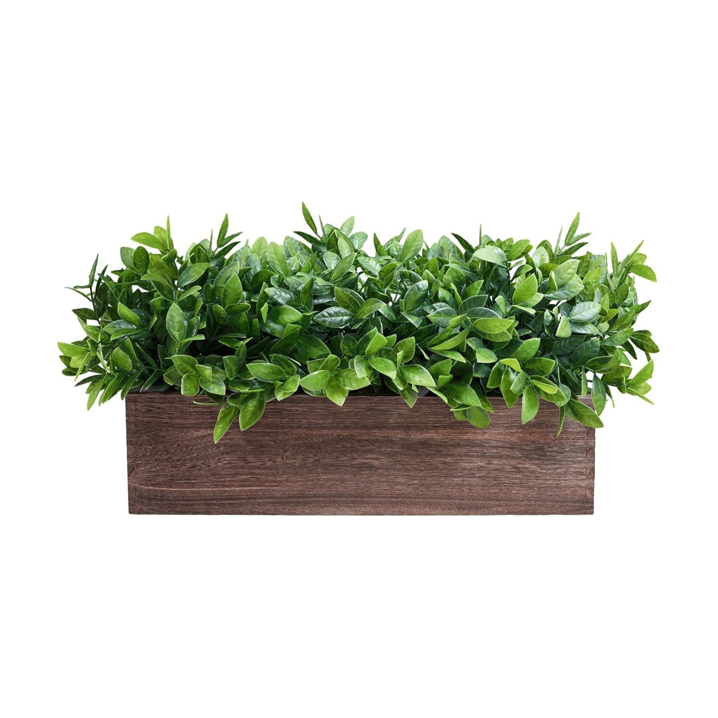 14" Artificial Boxwood Plants in Rectangular Wood Planter Farmhouse Greenery / Boxwood In Natural