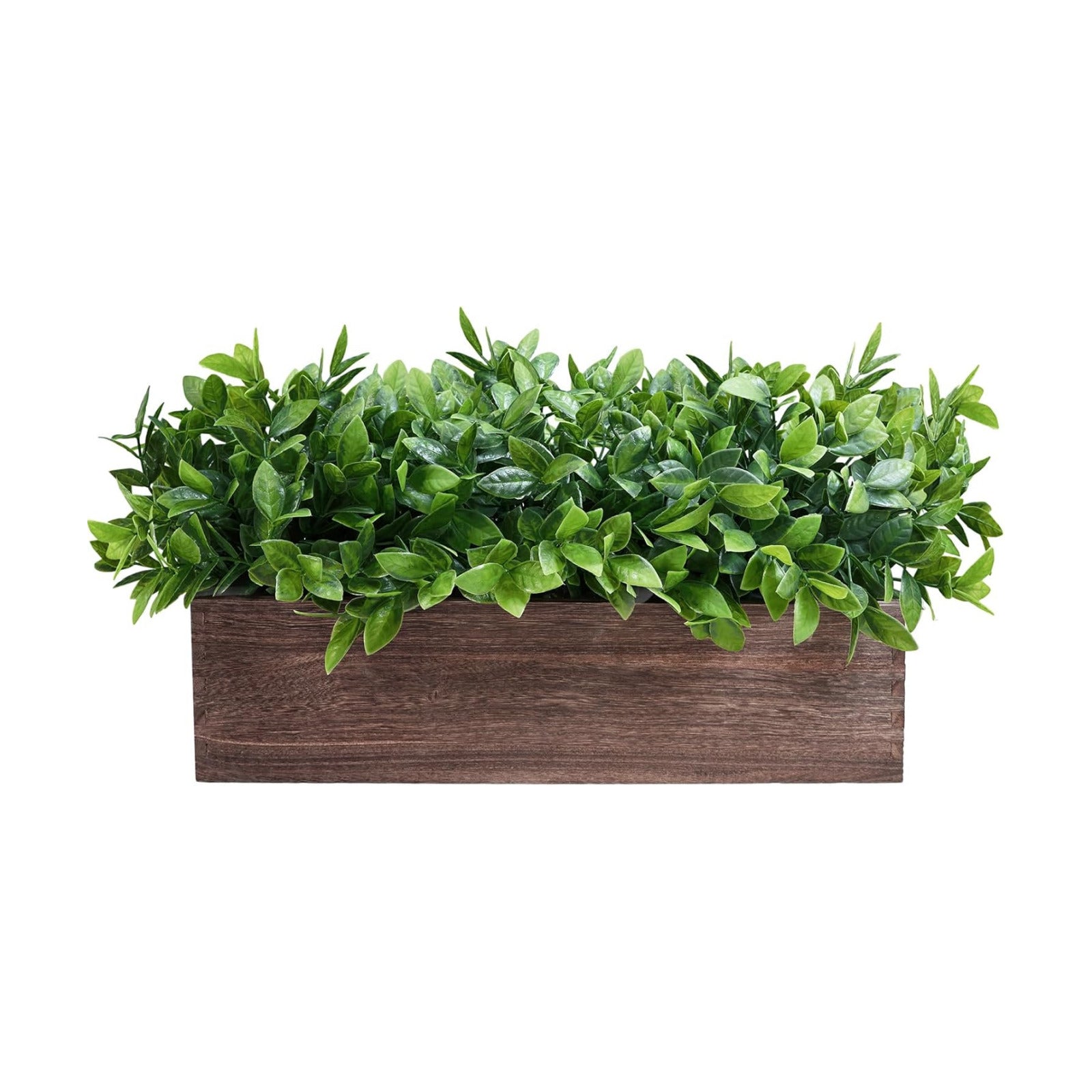 14" Artificial Boxwood Plants in Rectangular Wood Planter Farmhouse Greenery / Boxwood In Natural