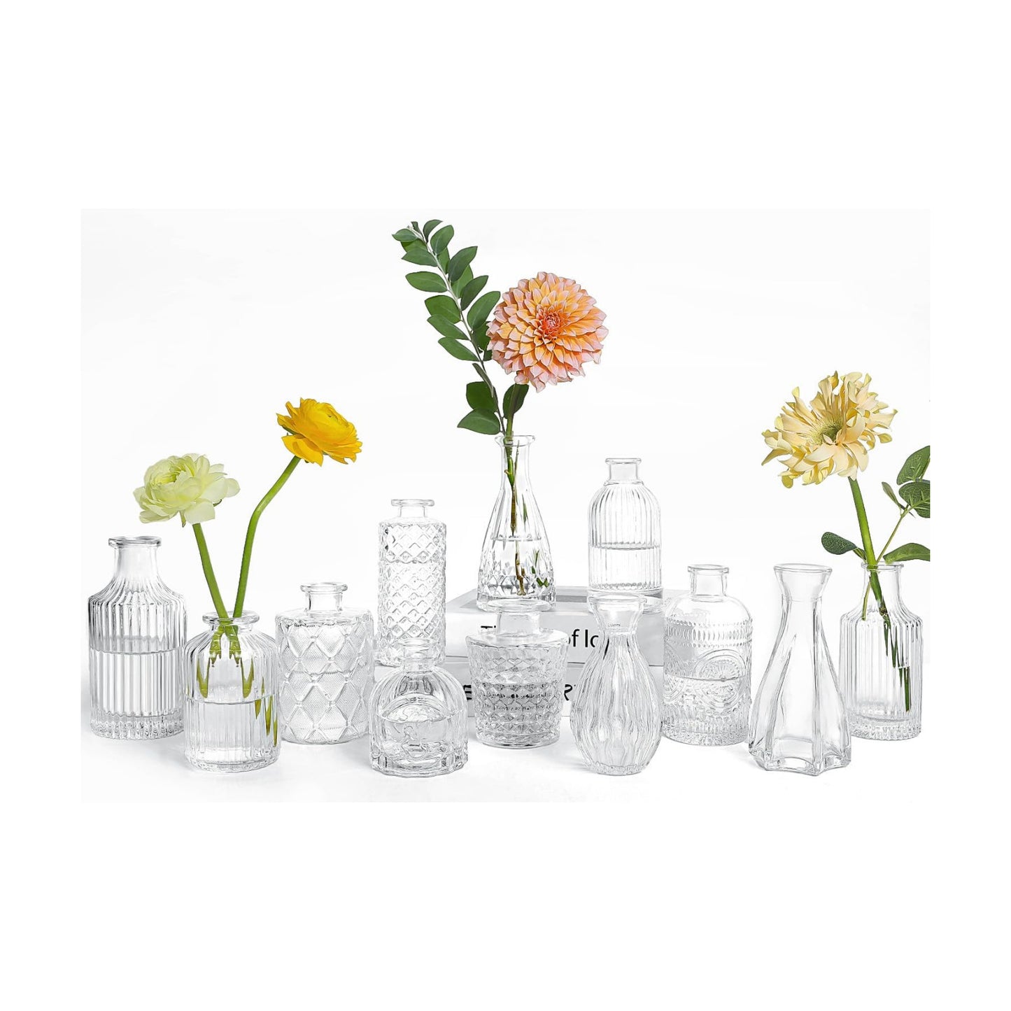 Clear Glass Bud Vases / Standard-clear / Set of 12