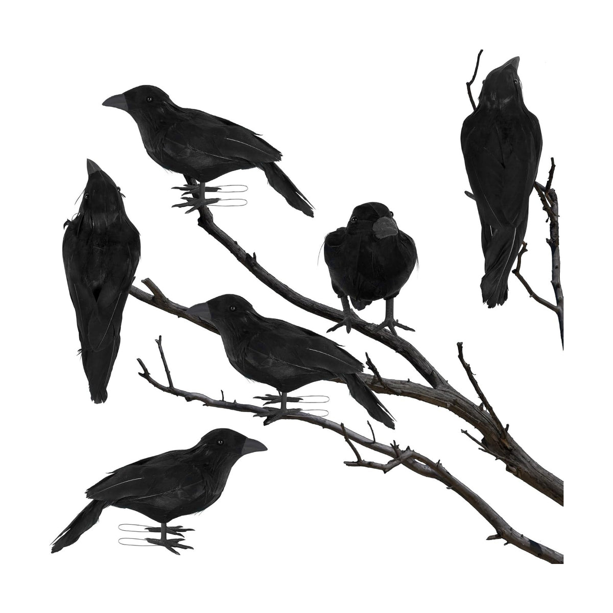 ATDAWN 6 Pack Halloween Birds - Realistic Black Feathered Crows, 7.9" from Beak to Tail Feathers, Halloween Decoration Props for Outdoor & Indoor, Party Supplies, Haunted House, Graveyard Displays