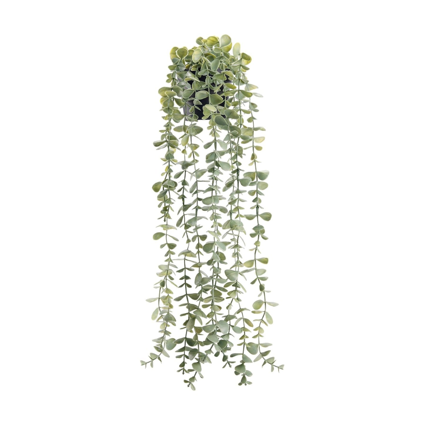 Der Rose 24" Fake Hanging Eucalyptus Plant for Bathroom Wall Art Decor