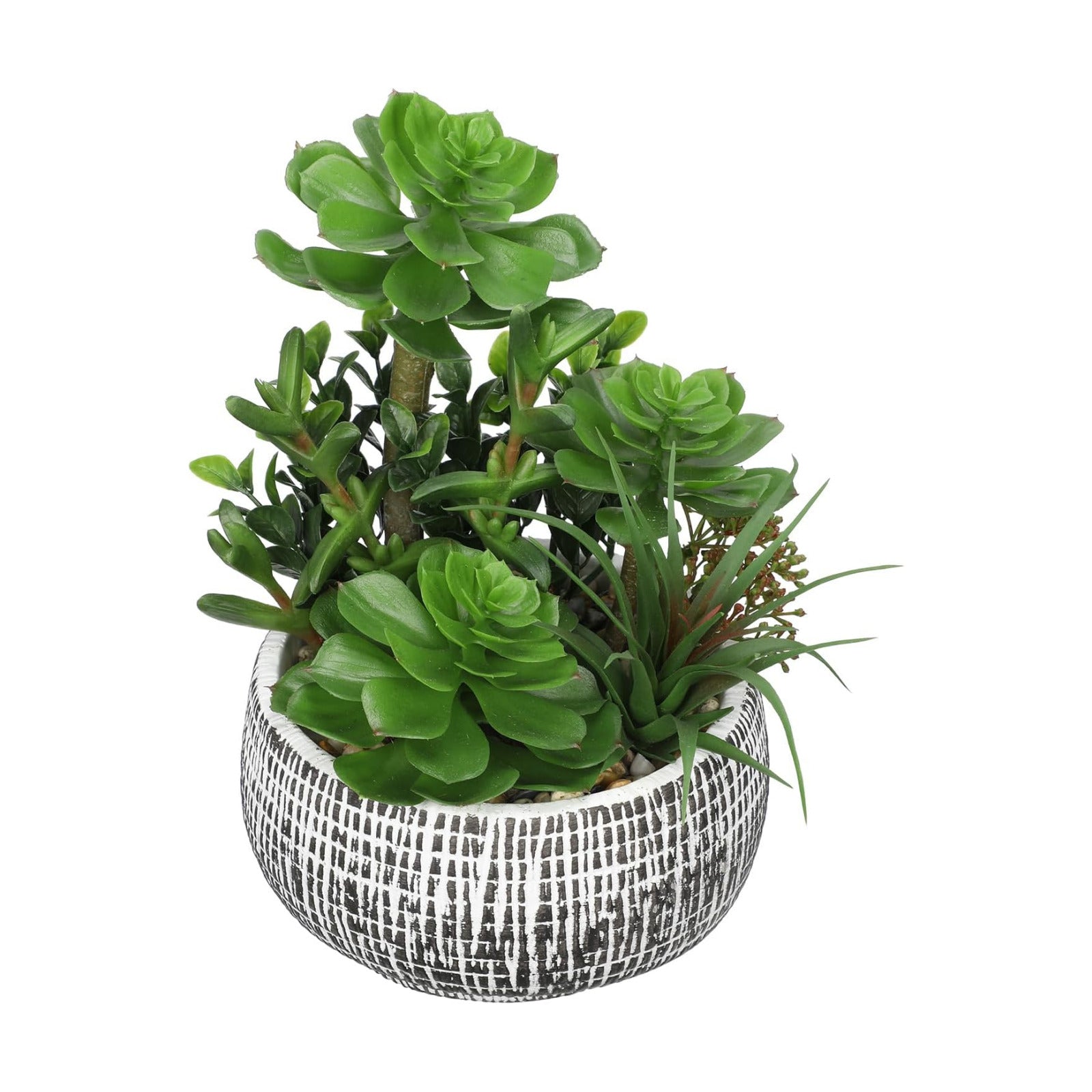 10" Large Succulents Plants Artificial in Ceramic Pots Potted Faux / Ceramic #style 2 / Black