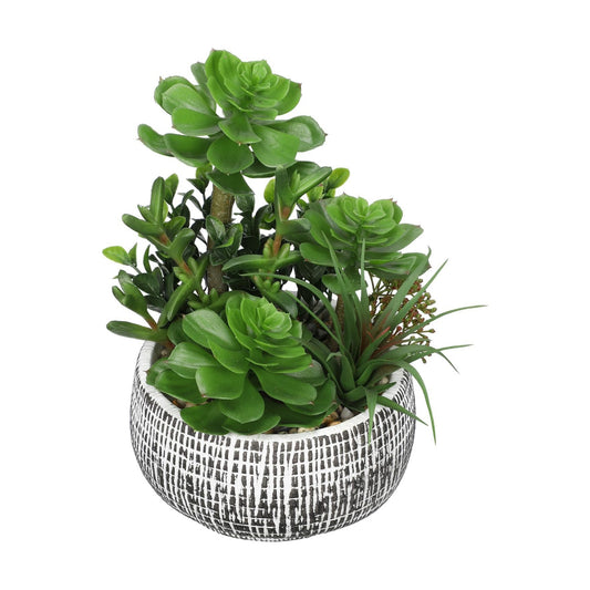 10" Large Succulents Plants Artificial in Ceramic Pots Potted Faux / Ceramic #style 2 / Black