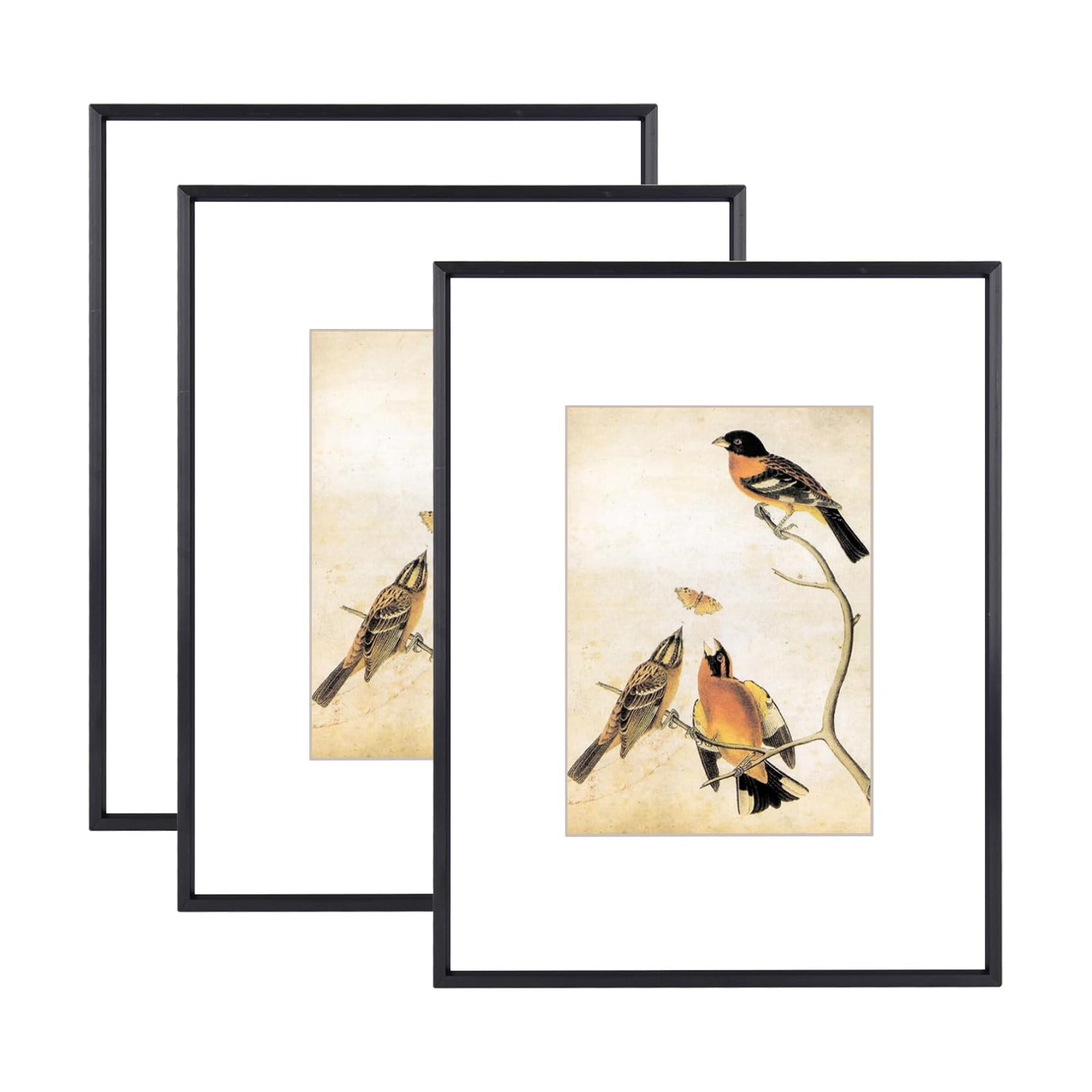 BKABOT 8.5x11 Black Metal Photo frames 3 Pack HD Glass Mat 5x7 Wall Table | Thin brushed aluminum Picture