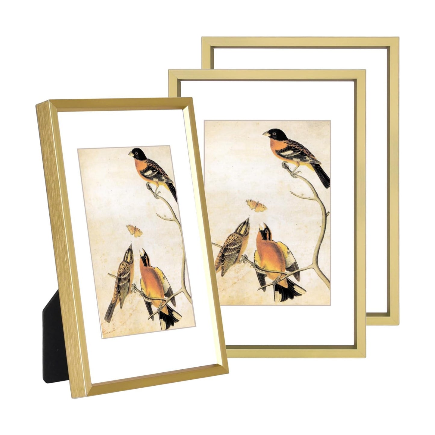 BKABOT 3.5x5 Brass Photo frames 3 Pack HD Glass Mat 2.5x3.5 Wall Table | Brushed aluminum Picture frames,removable