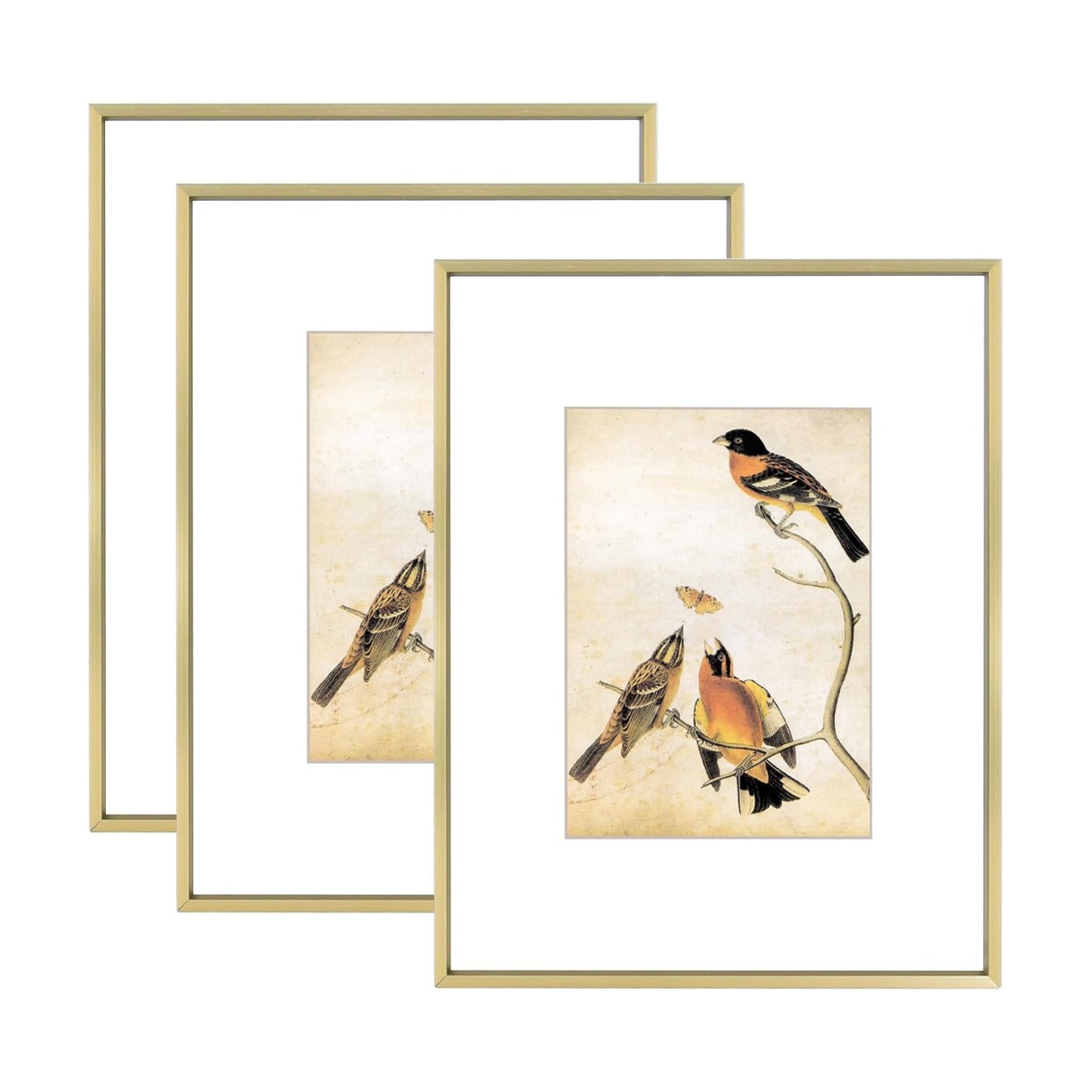 BKABOT 8.5x11 Brass Metal Photo frames 3 Pack HD Glass Mat 5x7 Wall Table | Thin brushed aluminum Picture