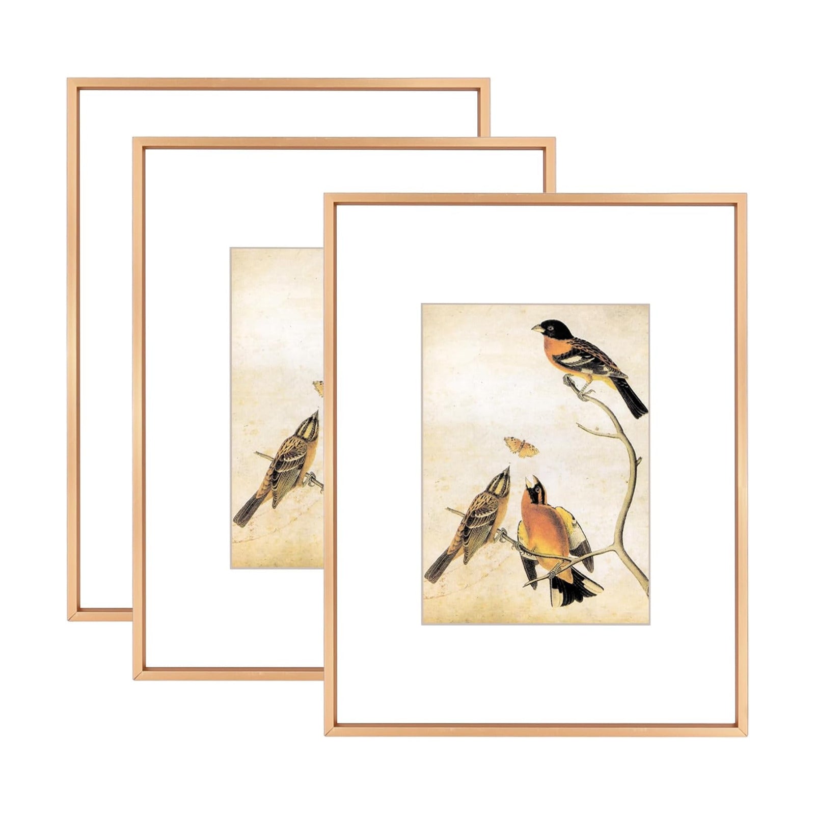 BKABOT 8.5x11 Gold Metal Photo frames 3 Pack HD Glass Mat 5x7 Wall Table | Thin brushed aluminum Picture