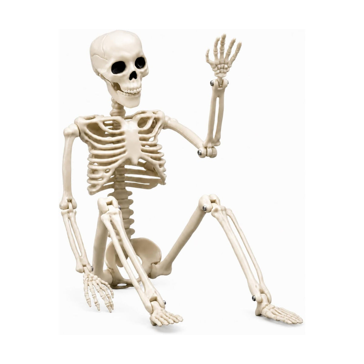 Halloween Skeleton Decorations Outdoor, 16" Plastic Posable Skeleton with Movable Joints, Small Creepy Scary Skeletons for Halloween Decor, Graveyard Haunted House Props