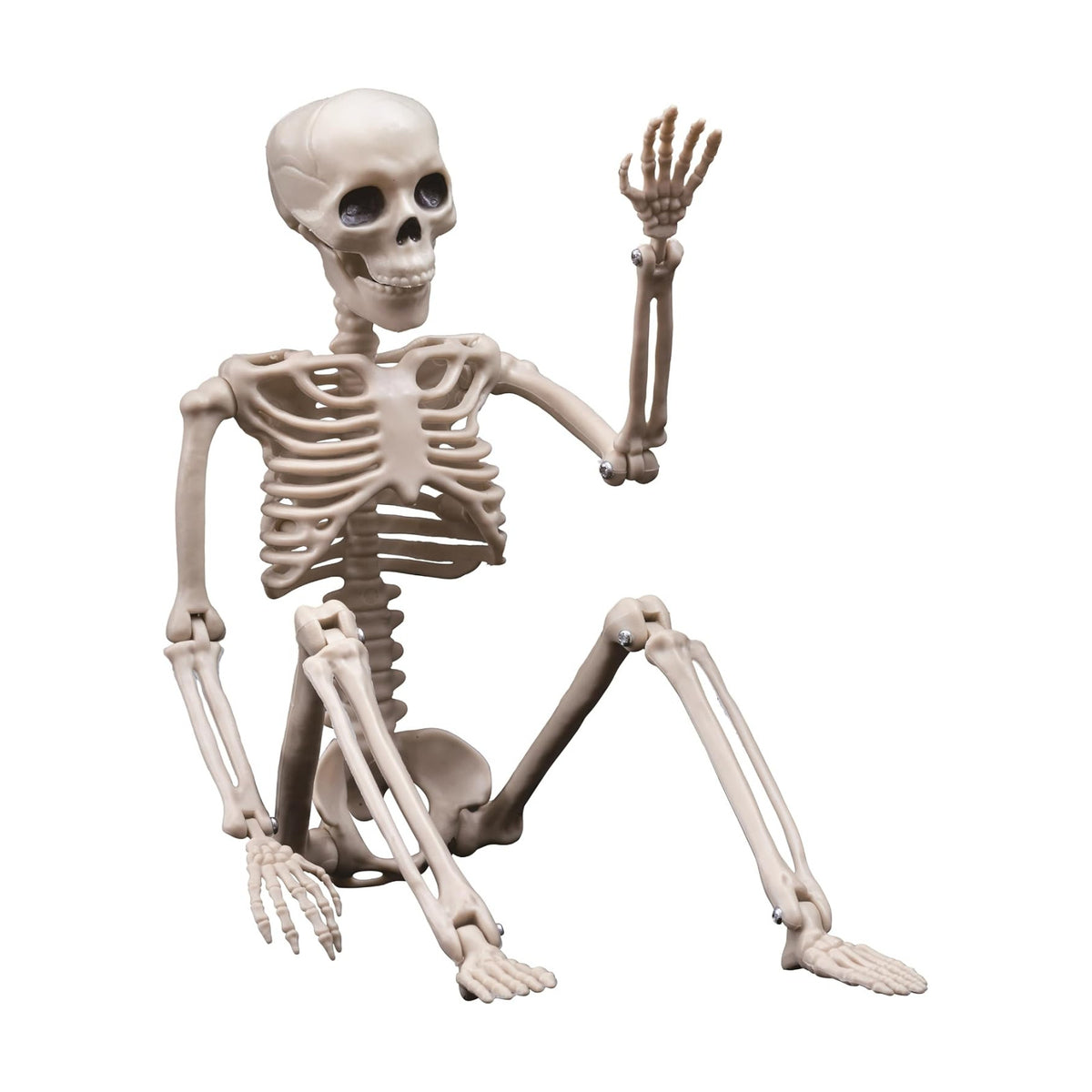 Halloween Decorations Outdoor Skeletons - 16" Posable Plastic Skeleton - Spooky Scary Small Skeleton for Halloween Decor, Haunted House, Party, Yard, and Graveyard Props