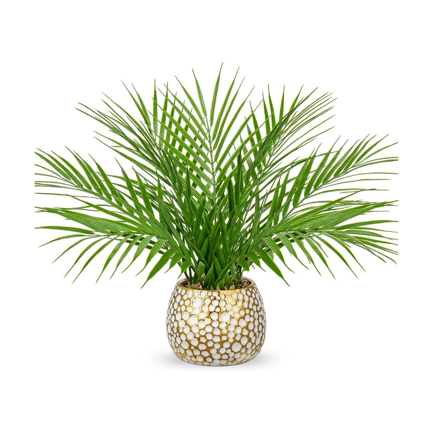 Realistic Tropical Artificial Plants Indoor / 15'' Tall White and Gold
