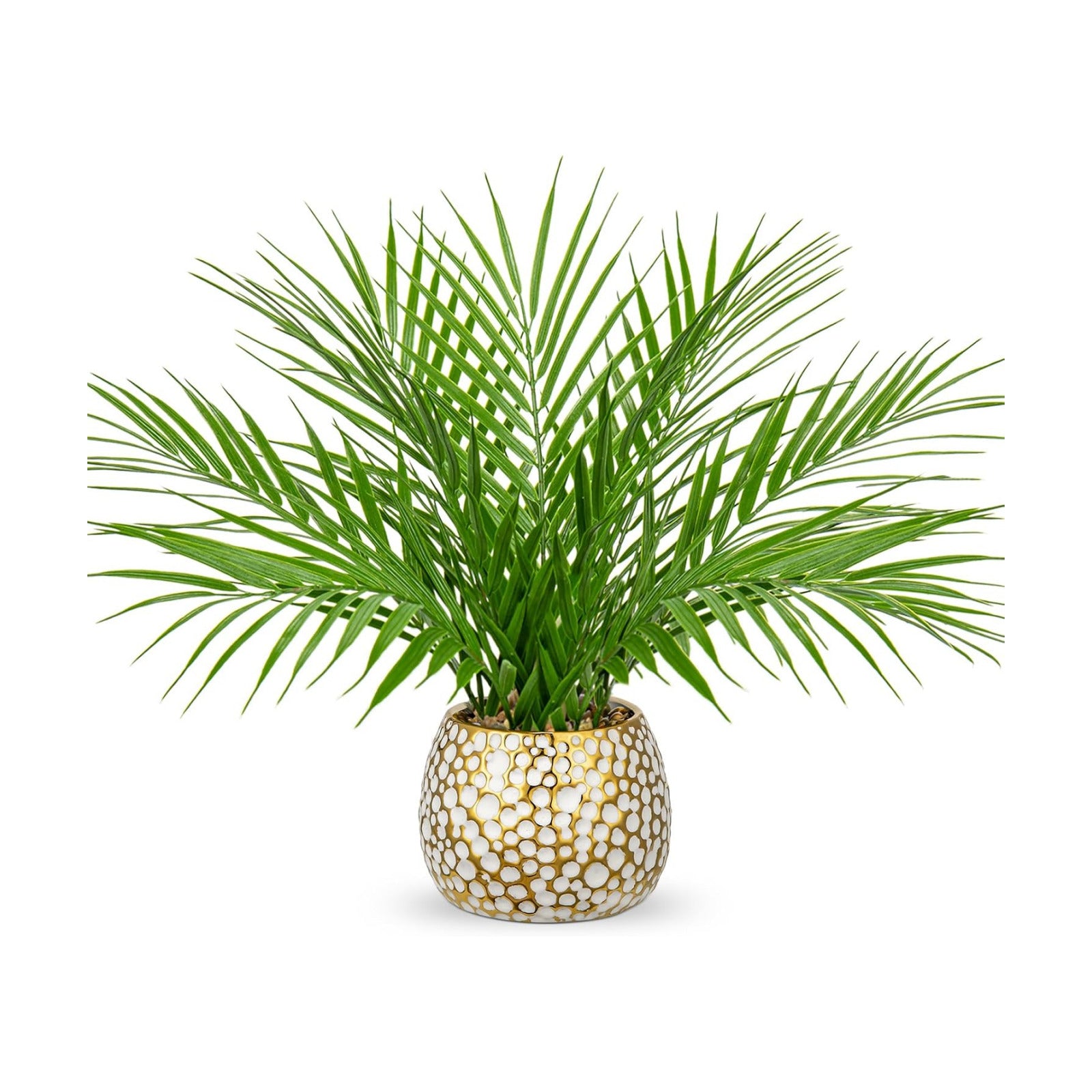 Realistic Tropical Artificial Plants Indoor / 15'' Tall White and Gold
