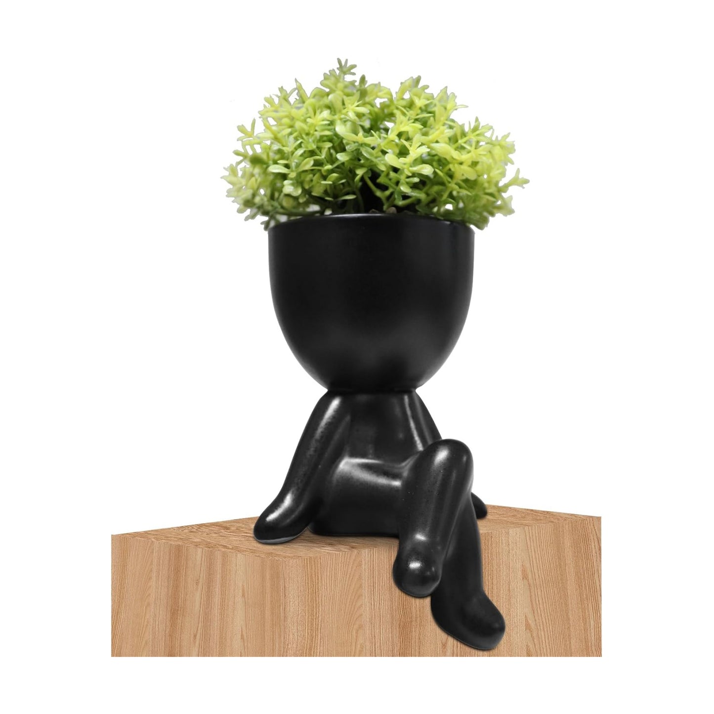 Faux Plants Indoor / Black-d