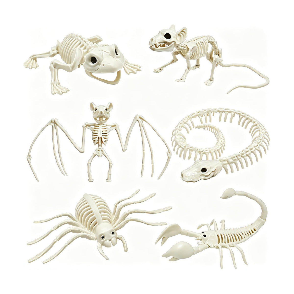 CAMIRUS 6Pack Animal Halloween Skeletons, Realistic Animal Skeleton