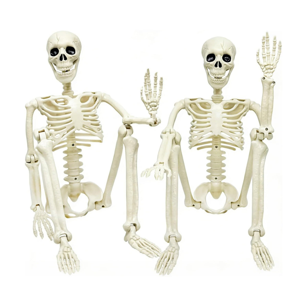 2 Pack 36in Posable Plastic Skeleton Halloween Decor - 3 ft Halloween Decor