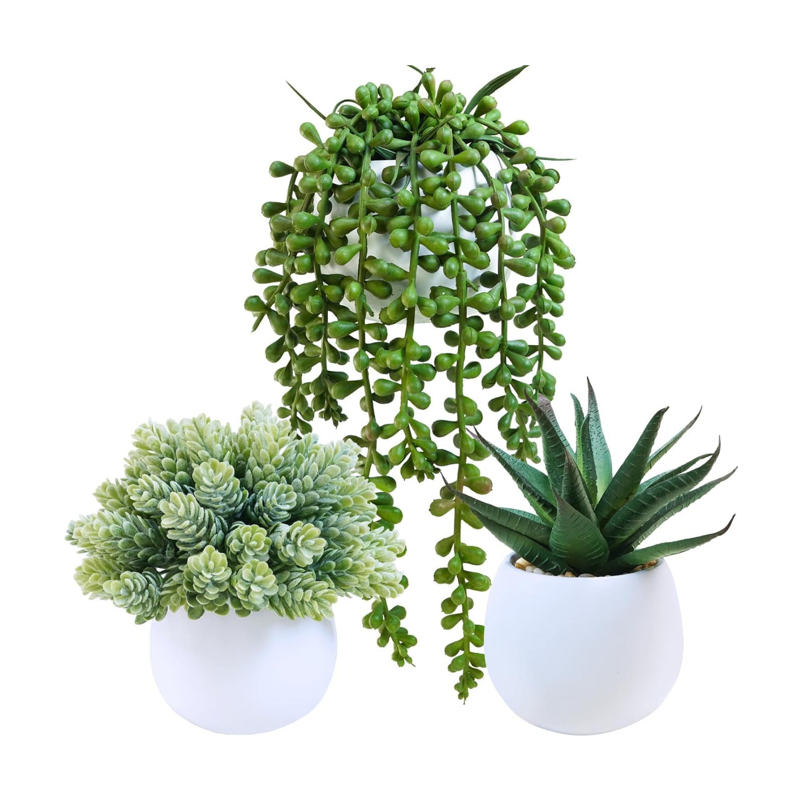Assorted Artificial Succulent Plants in White Concrete Pots Faux Aloe Hops / White Pots / Set of 3
