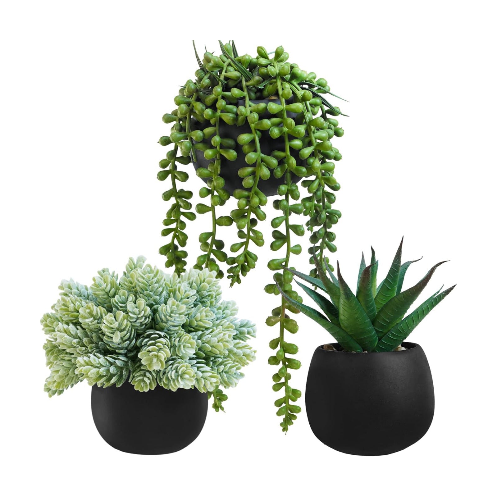 Artificial Succulent Plants in Black Concrete Pots Faux Aloe Hops String / Black Pots / Set of 3