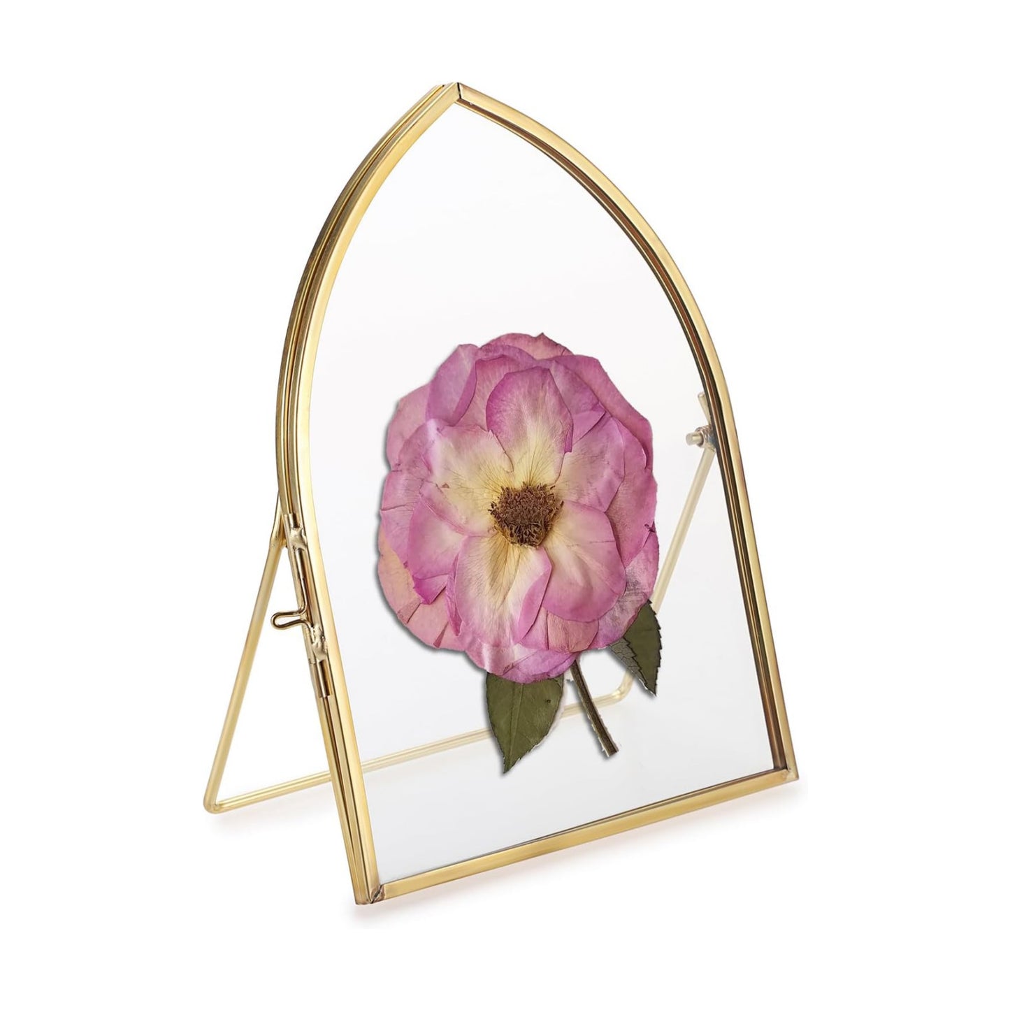 Glass Desktop Picture Artwork Display Frames / 5 x 7