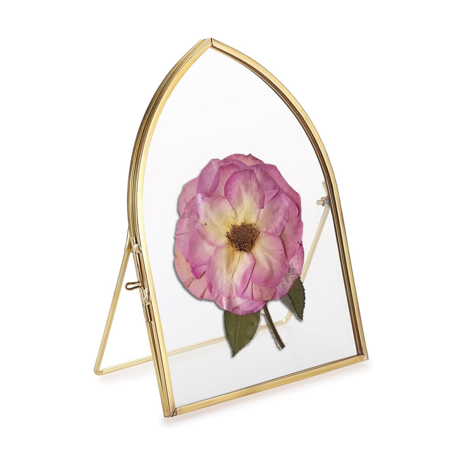 Glass Desktop Picture Artwork Display Frames / 5 x 7