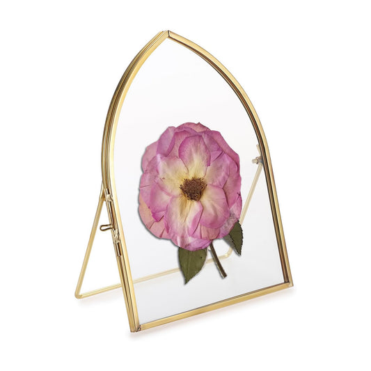 Glass Desktop Picture Artwork Display Frames / 5 x 7