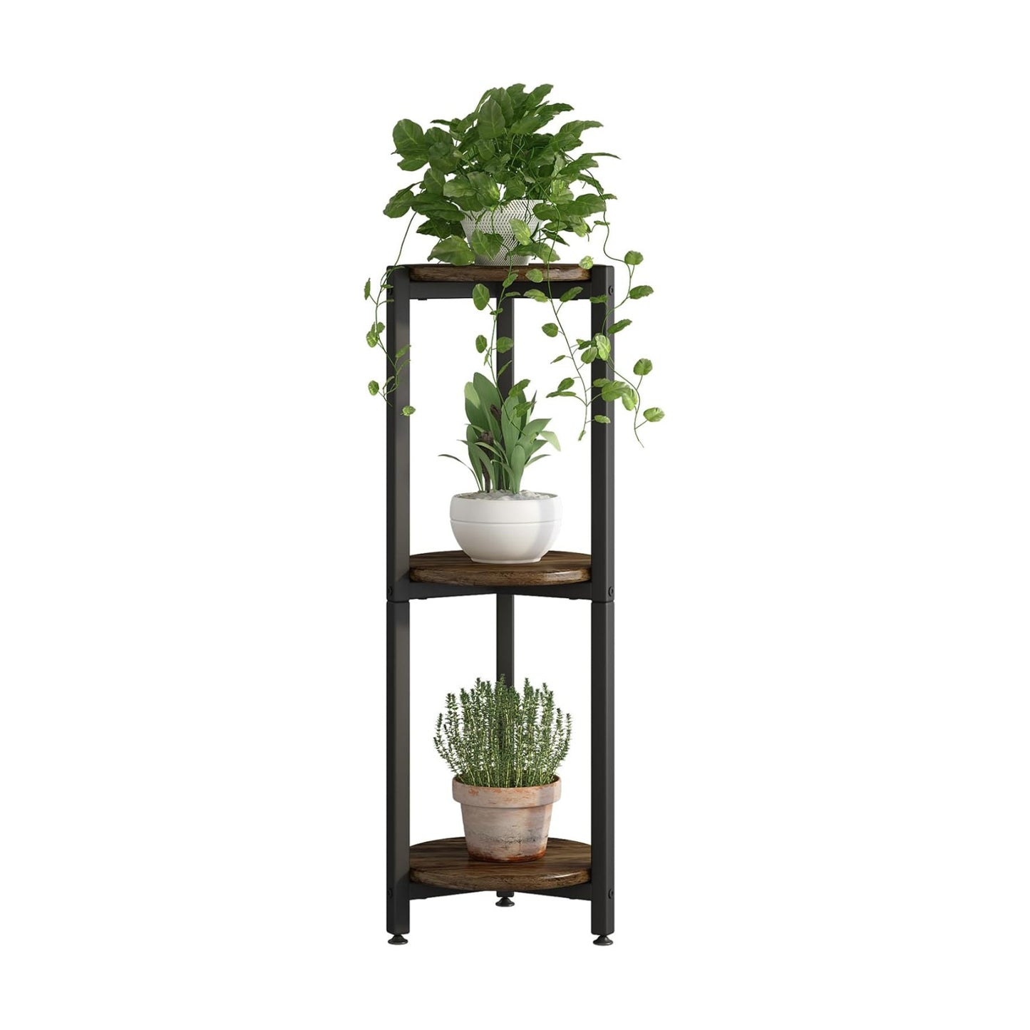 3 Tier Plant Stand Indoor Corner Tall Round Shape Plant Shelf | Modern Metal MDF board Flower Storage,Suitable tight