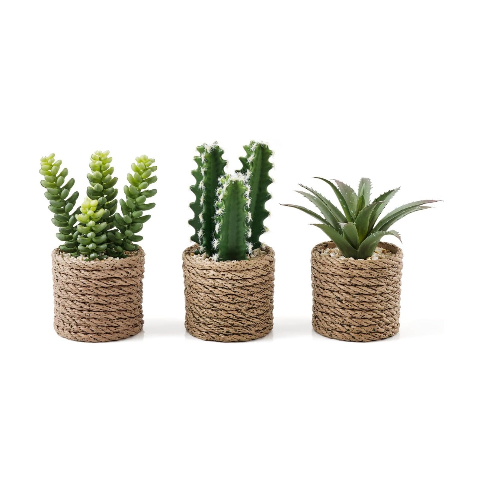 Artificial Succulent Plants in Vintage Plastic Pots / Succulent-d / Set of 3