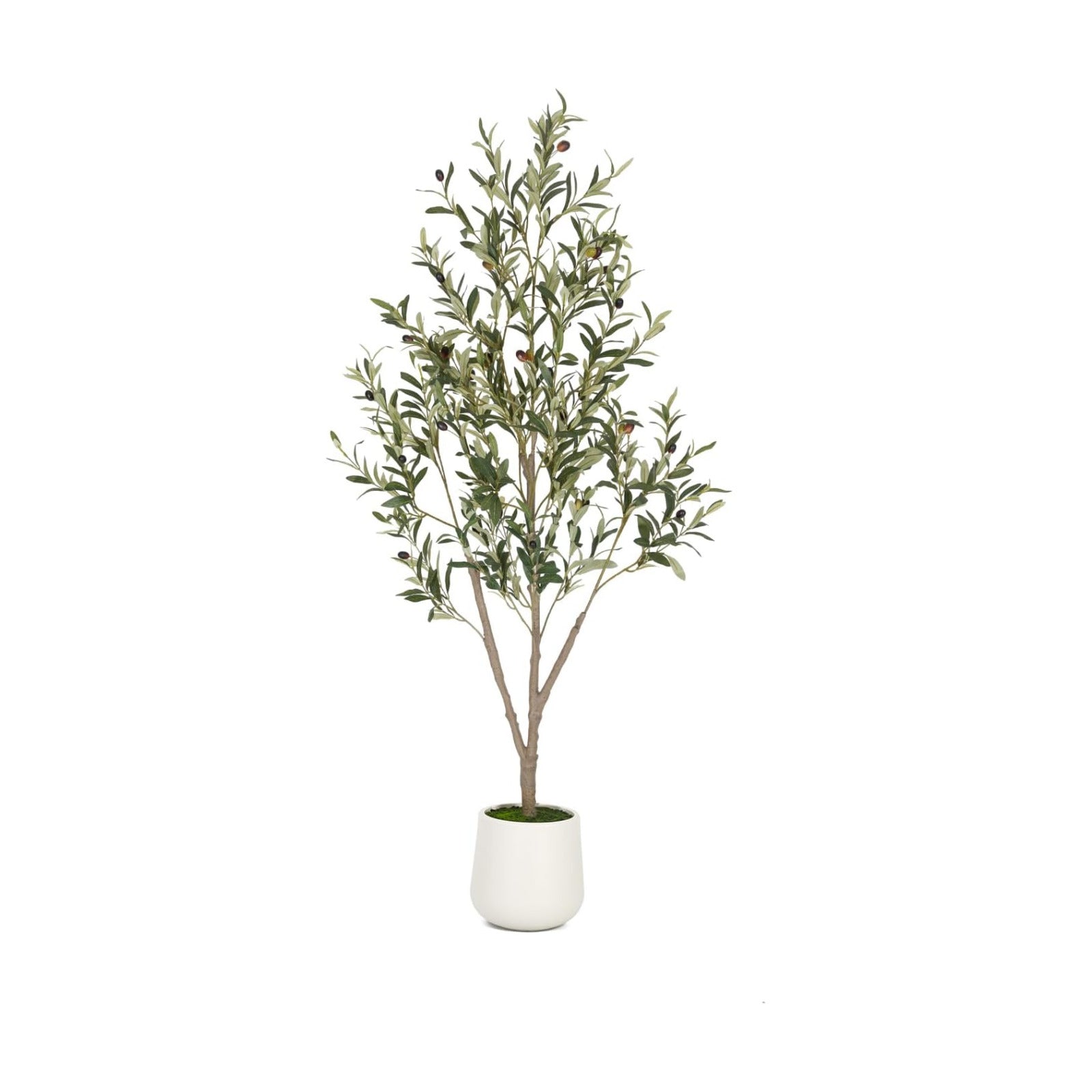 Artificial Plants / White Tall Planter / White-5ft / 5 Inch