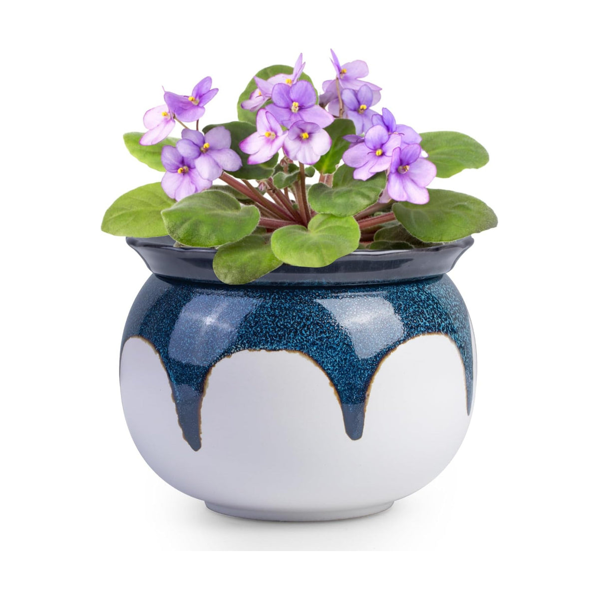 BUYMAX African Violet Pots, 6 inch Ceramic Easy Self Watering Plant Pot for Busy Plant Lovers, Automatically Absorb Appropriate Amount of Water, Flower Pot Indoor-Plants Not Included(Blue)