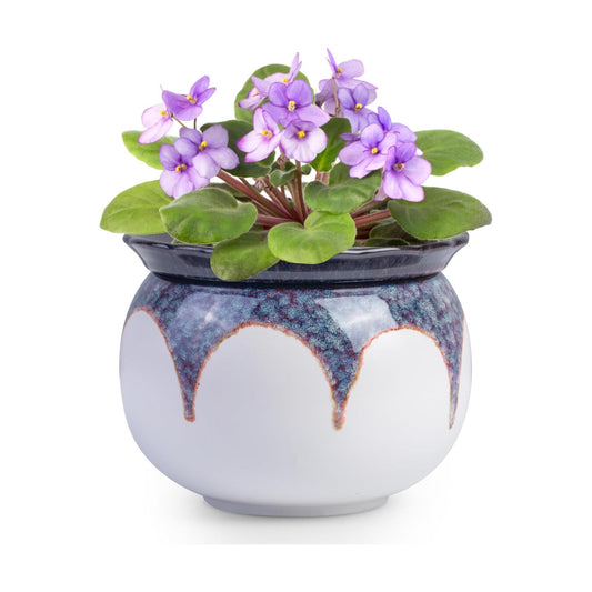 BUYMAX Self Watering Ceramic African Violet Pot Keep The Soil Moist