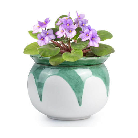 BUYMAX Self Watering Ceramic African Violet Pot Keep The Soil Moist