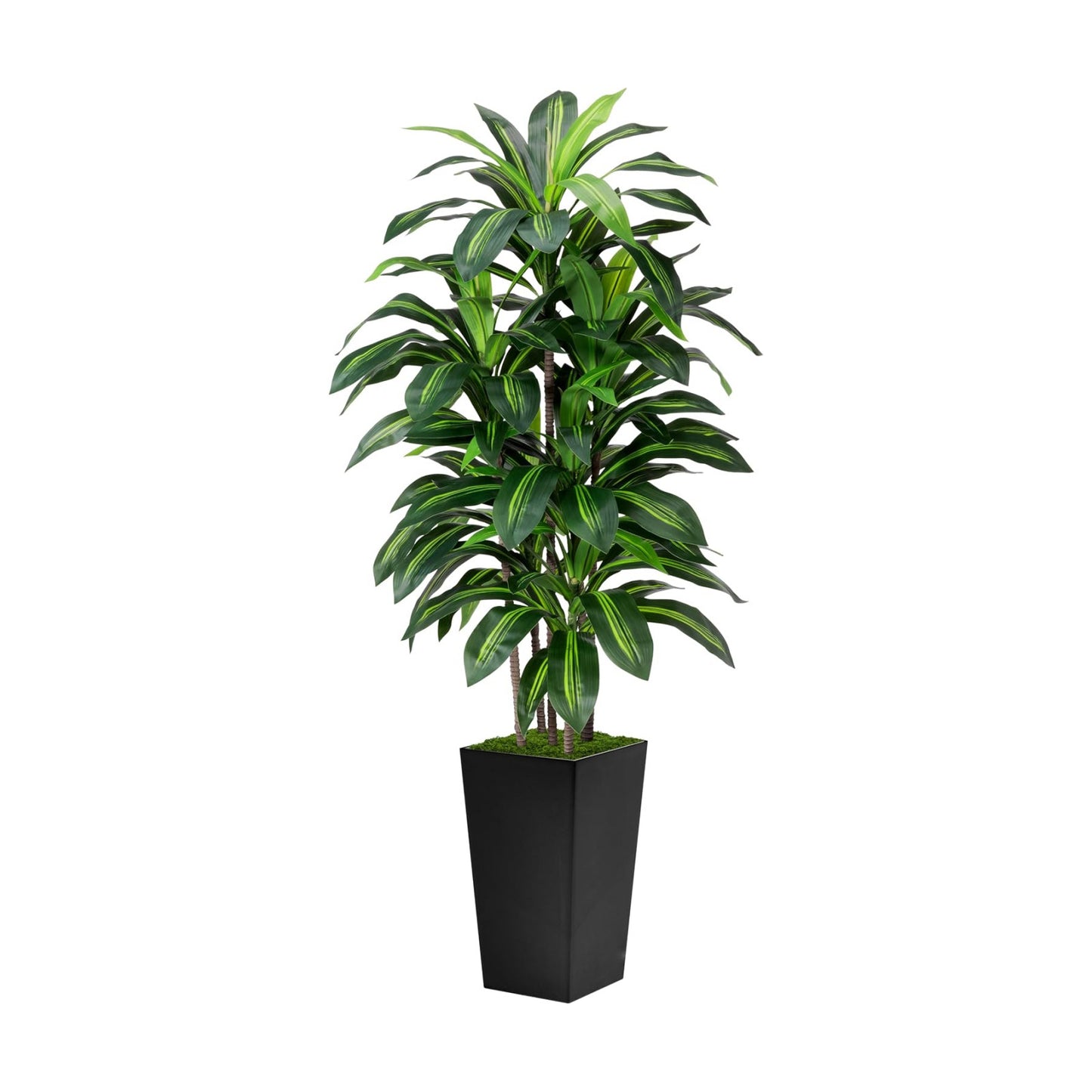 Faux Yucca Tall Fake Floor Plant in Pot / Black / 5ft / 5 Inch