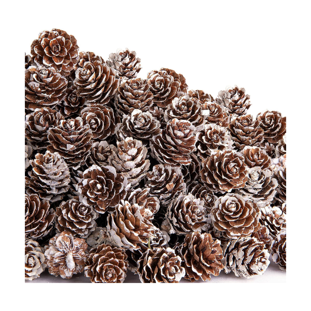 700 Pcs Christmas Natural Mini Pine Cones - Small Xmas Snow Pinecones Decor