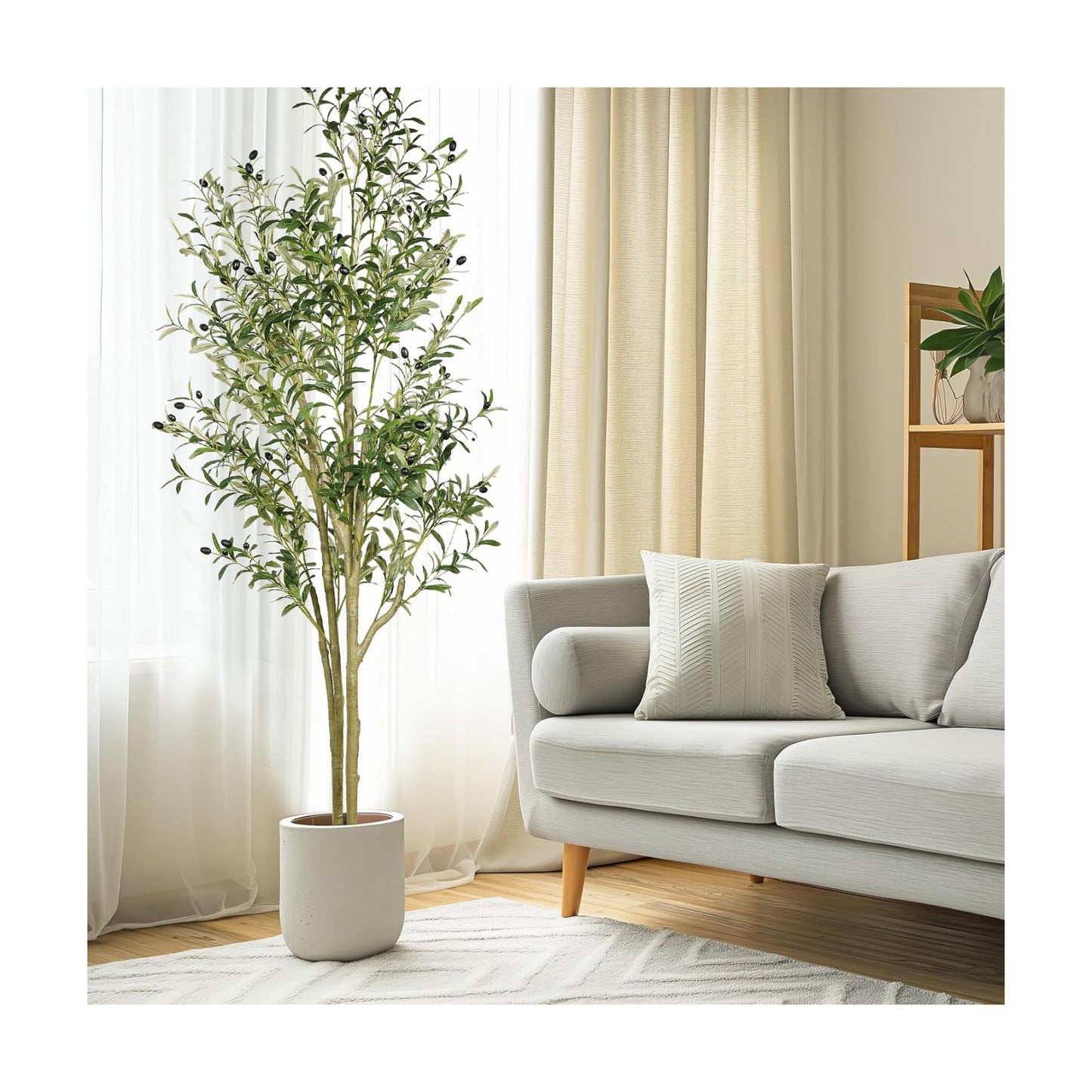Olive Branches / Olive Tree / 5ft / Black / 5 Inch