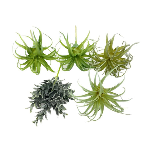 POANTA Assorted Artificial Succulents Air Plants Set Unpotted Realistic Greenery Plants / Set of 5