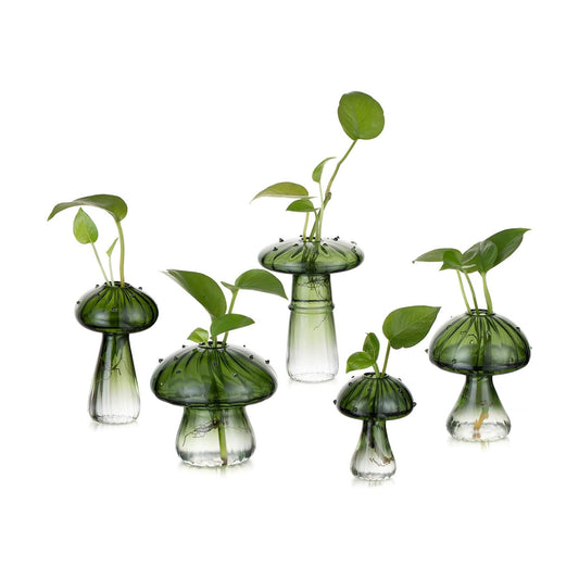Glass Terrarium Jar Planters / Green / Set of 5