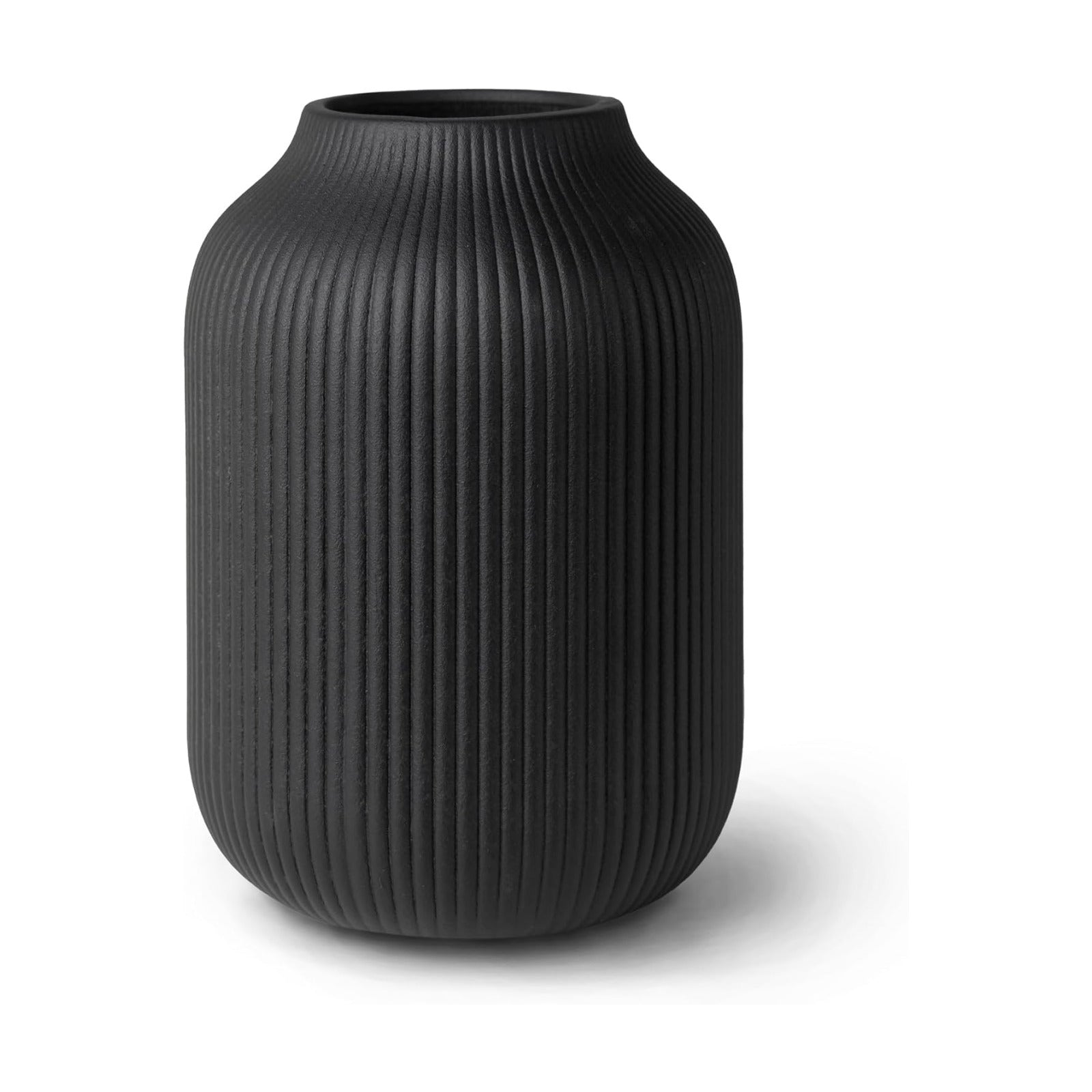 Ceramic Vase / Dried Flowers / Black
