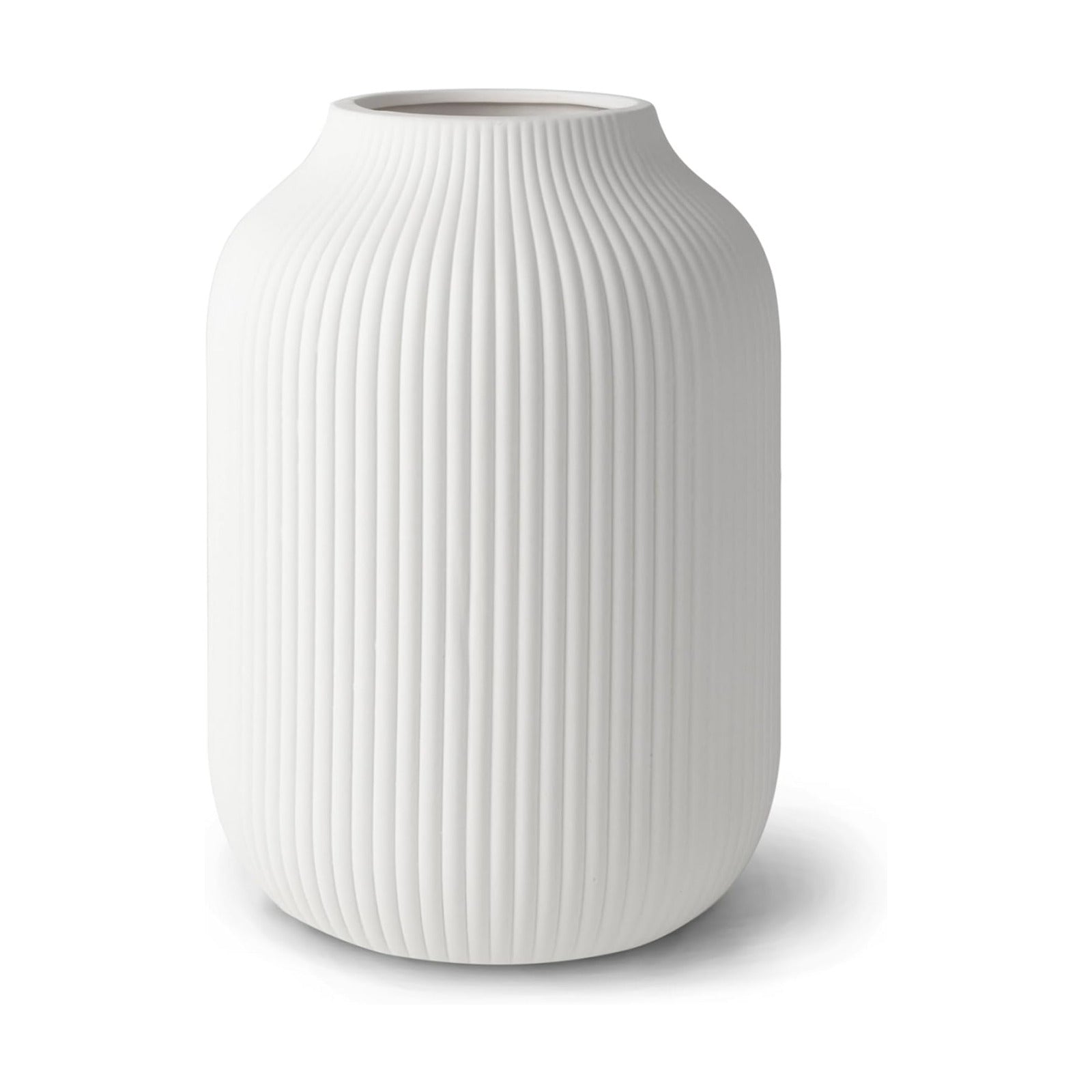 Ceramic Vase / Dried Flowers / White