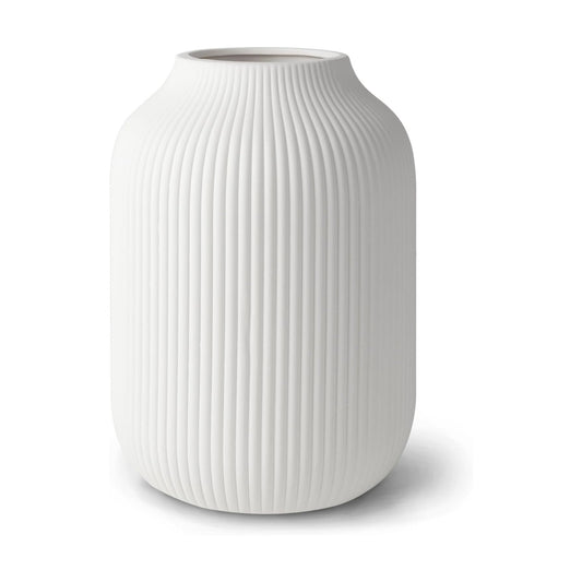 Ceramic Vase / Dried Flowers / White