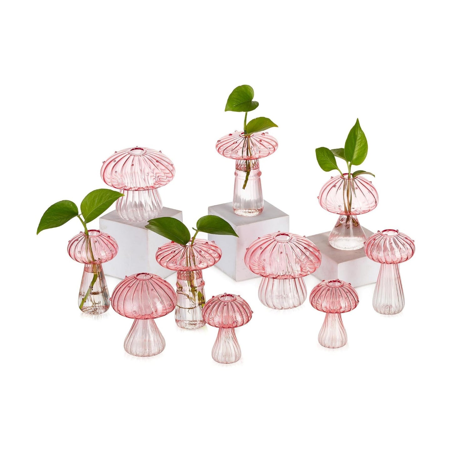 Glass Terrarium Jar Planters / Pink / Set of 10