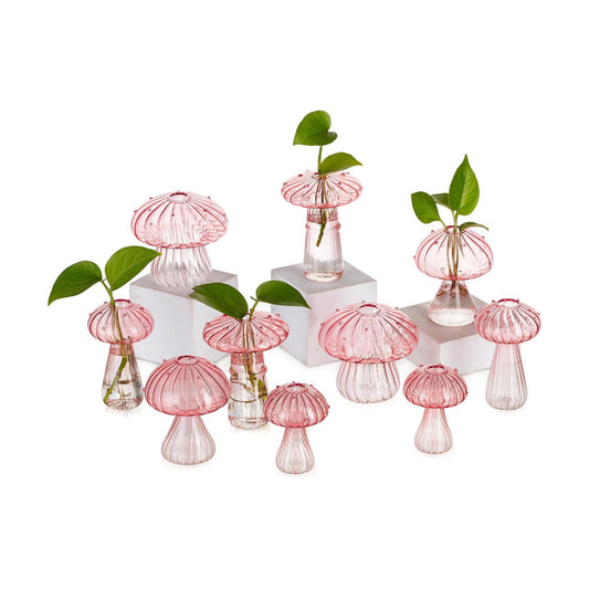 Glass Terrarium Jar Planters / Pink / Set of 10