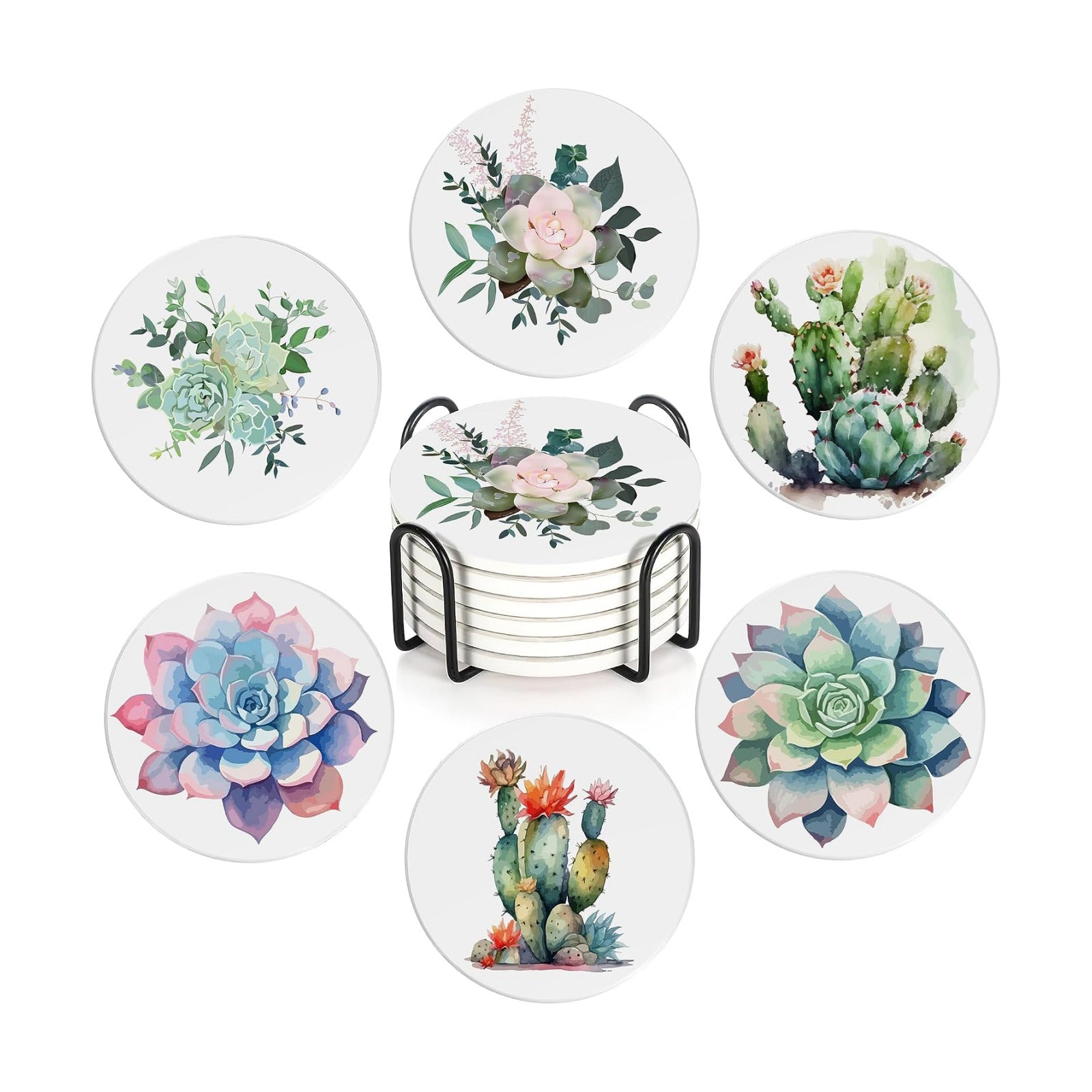 Cork Base and Metal Holder / Cactus Succulent Flower / Set of 6