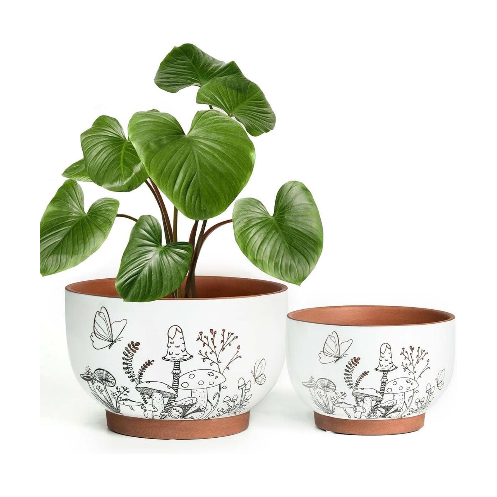 Planters / Plant Pots / 8+6 Inch / Cottage / 8 Inch