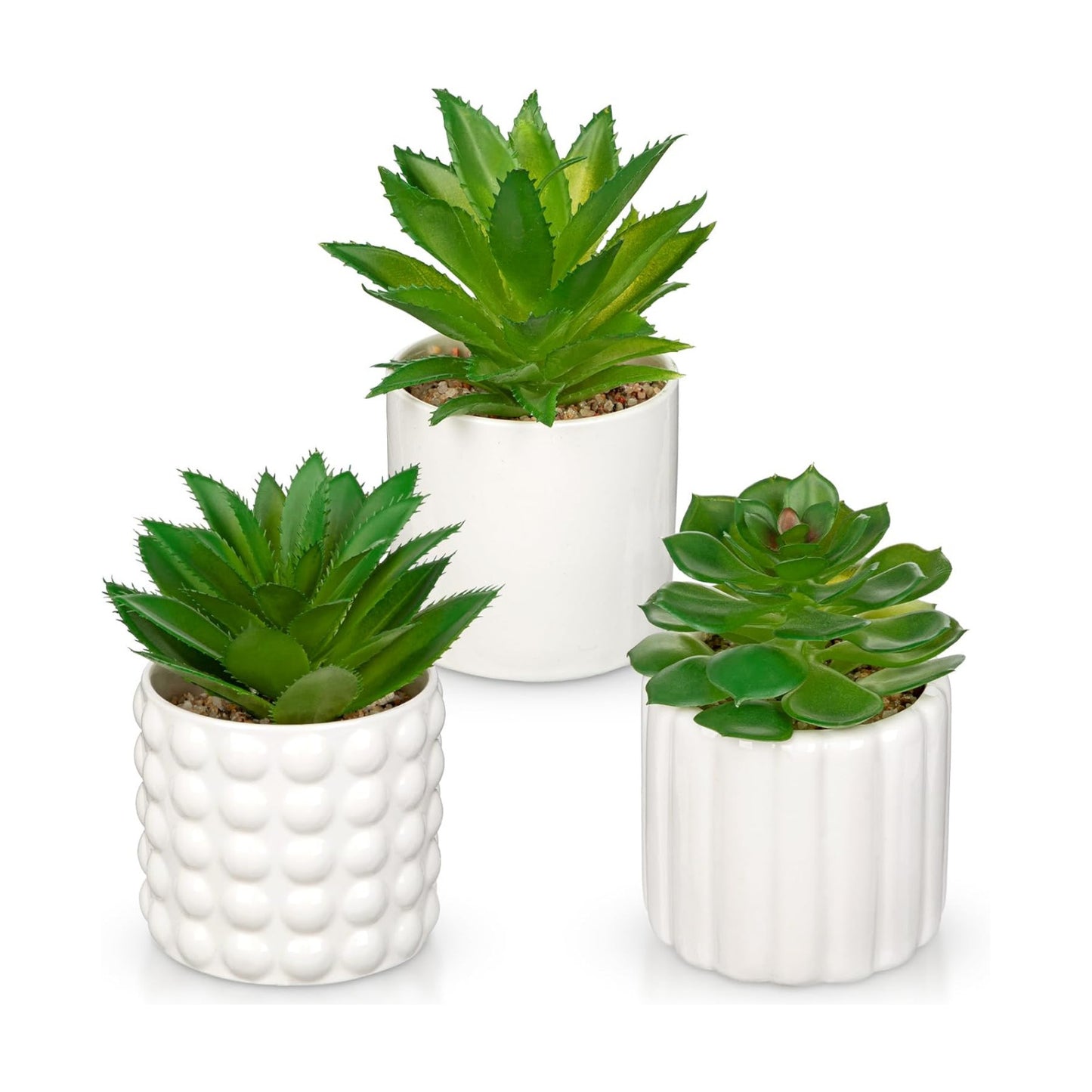 Succulents Plants Artificial in Ceramic Pots / White / Set of 3