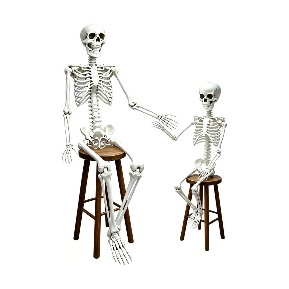 CAMIRUS 5.4ft & 3ft Posable Life Size Plastic Skeleton Halloween Decor