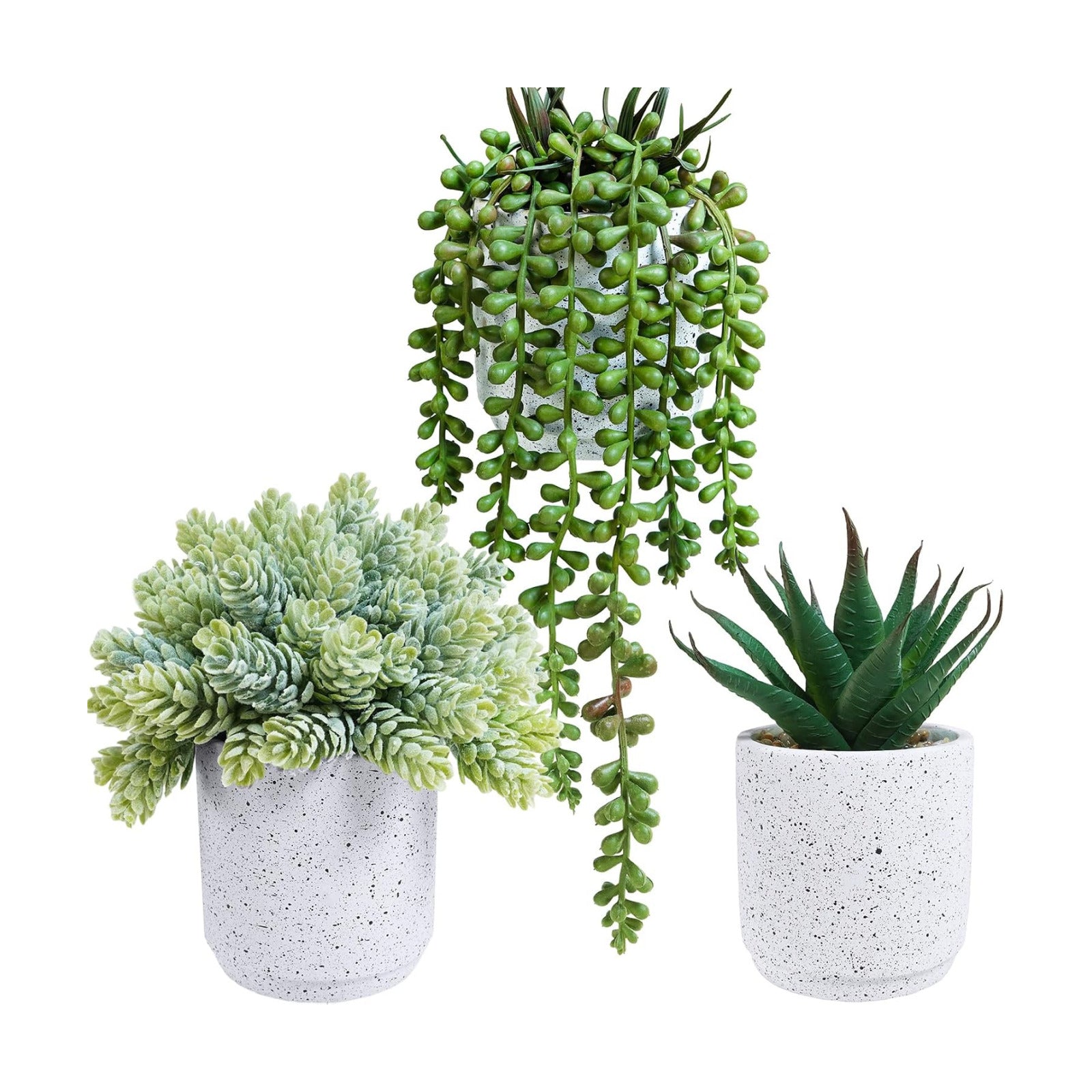 Artificial Potted Succulent Plants in Cement Planters Faux Aloe Hops String / White / Set of 3