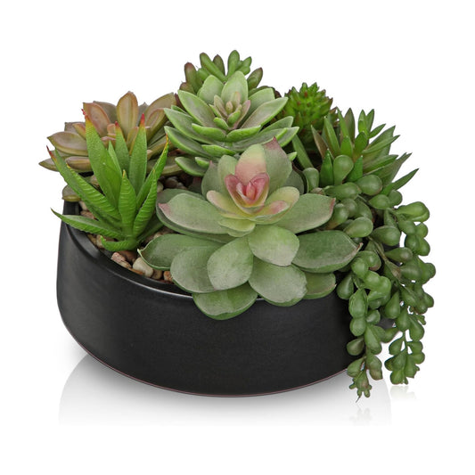 Artificial Succulent Plants in Pot Fake Succulents Arrangement / Black Ceramic#style 2 / 5.5 Inch