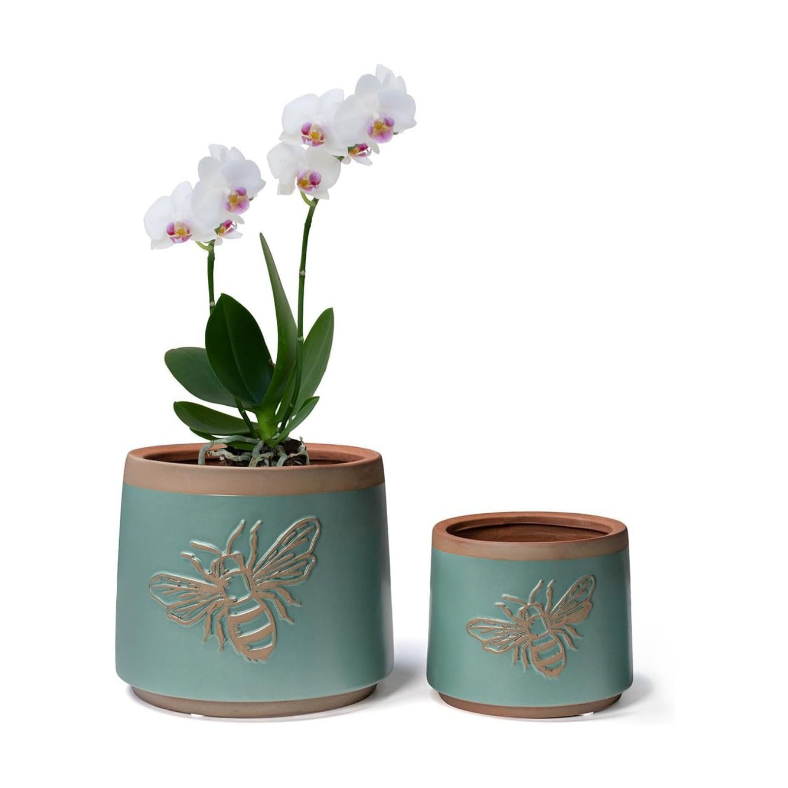 Planter / Flower Pots Indoor Succulent / 6+4 Inch / Turquoise Bee