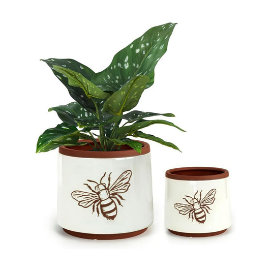 YBX Terracotta Pots / 6+4 Inch / White Bee