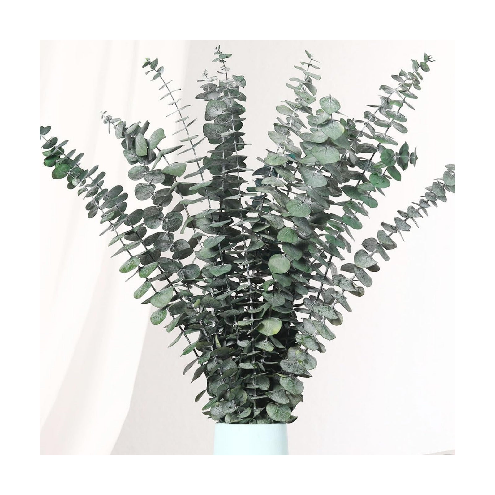 17'' Natural Real Live Greenery Eucalyptus Leaves Branches Hanging Shower / Green / Set of 20