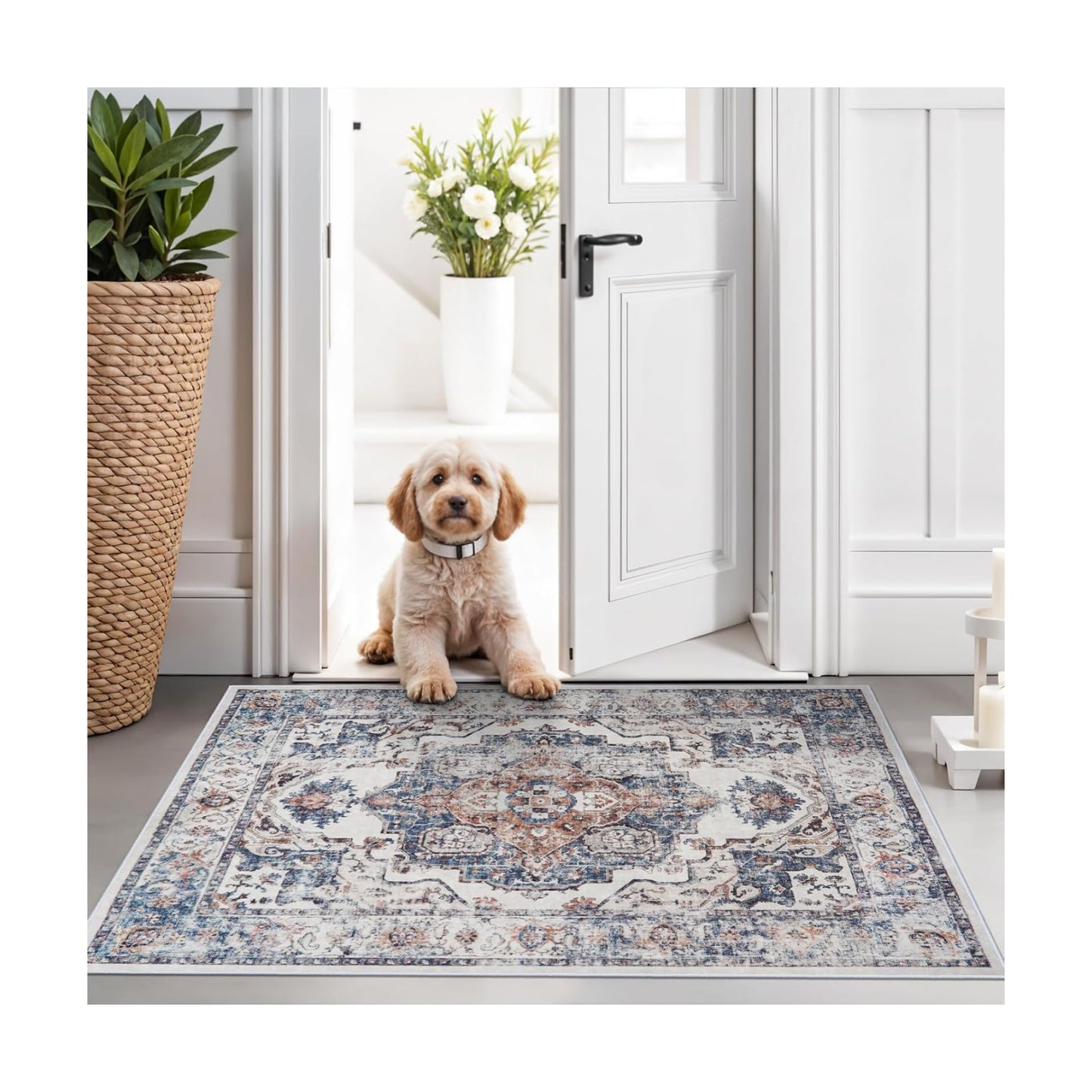 Hallway Washable Runner Rug - 2x3 Kitchen Rugs Entryway Rug Runner Vintage Soft Floor Mat Non Slip Indoor Farmhouse