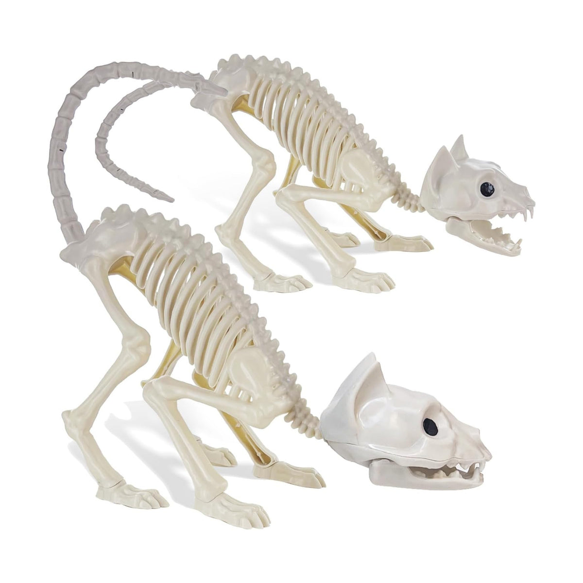 GIFTEXPRESS 2 Pack Real Size Cat Skeleton - 20" Long Creepy Kitten Skeletons with Posable Tail Halloween Decor - Indoor & Outdoor Haunted House Scary Animal Party Decoration